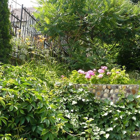 Hejo Apartman Miskolc Exterior foto