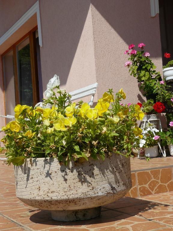 Hejo Apartman Miskolc Exterior foto