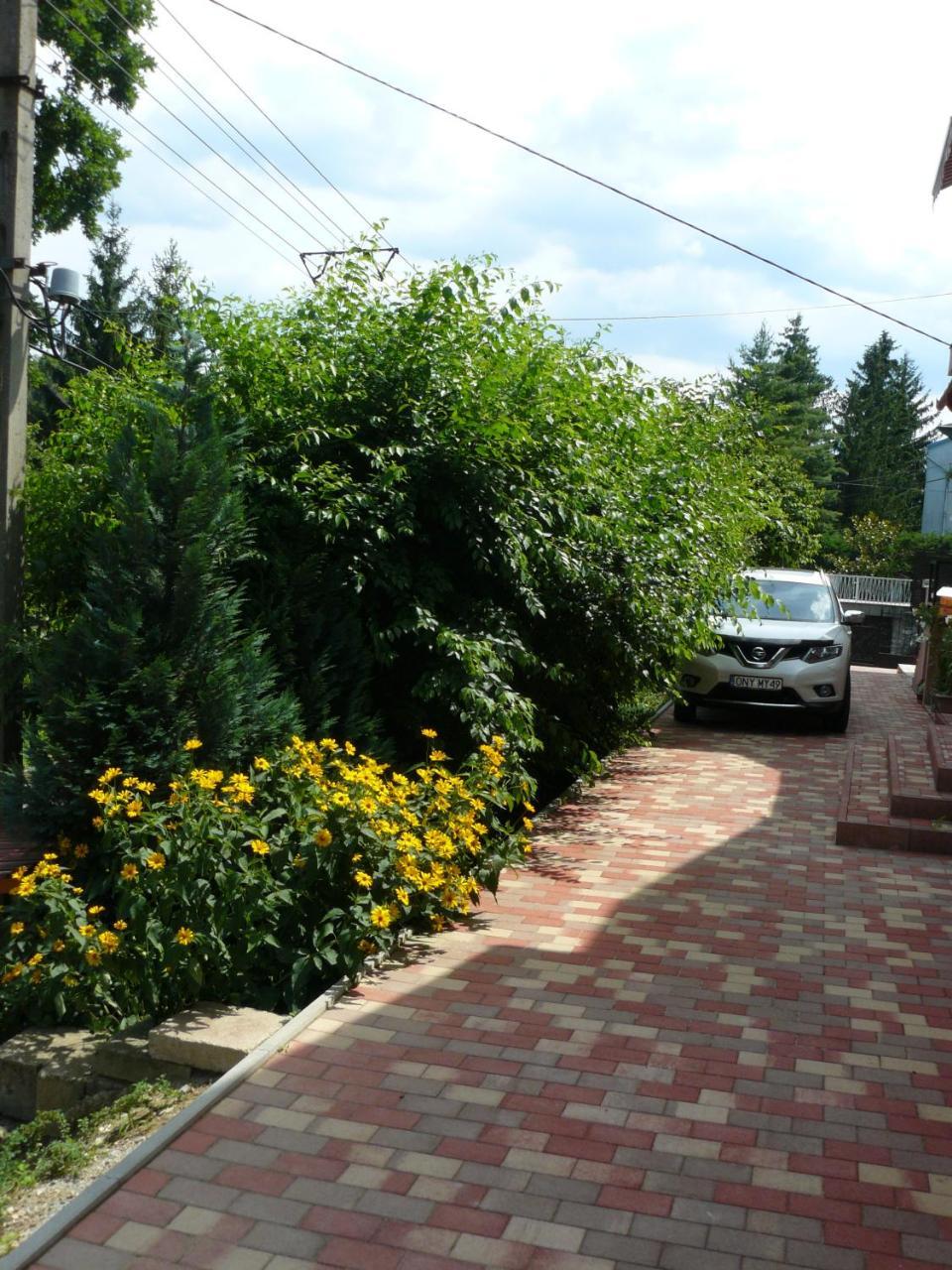 Hejo Apartman Miskolc Exterior foto